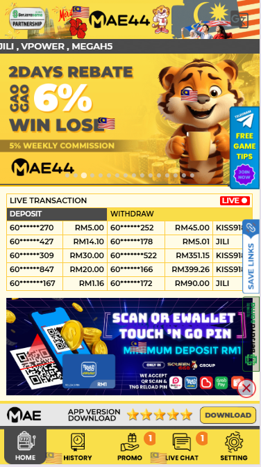 MAE44 - Homepage - 96m1