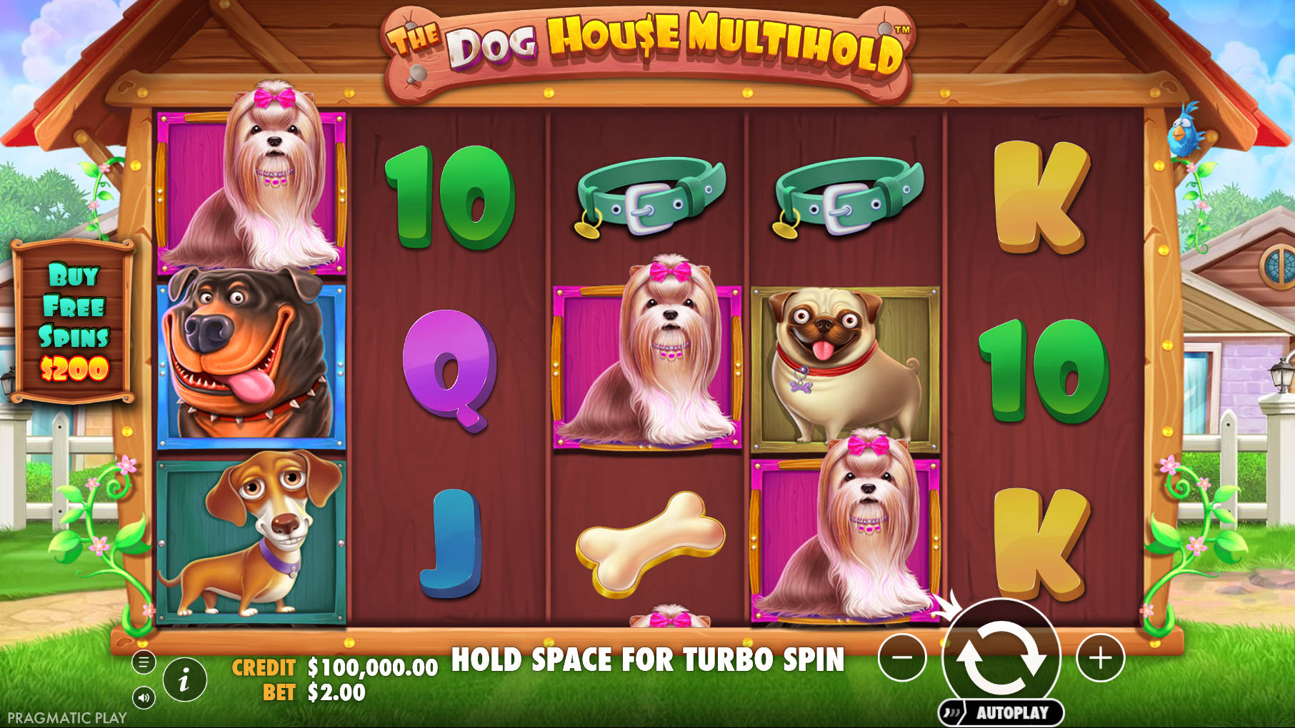 The Dog House Multihold Slot - Interface - 96m1